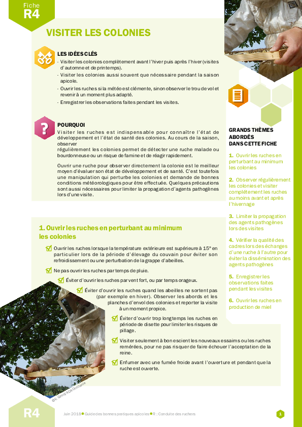 Visiter les colonies